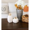 Transpac Foam 8.27 in Off-White Harvest Cozy Pumpkins Set of 2 Fall Thanksgiving Decorative Objects - 2 of 4