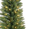 HomeRoots 6' Pre Lit Slender Fir Christmas Tree - 4 of 4