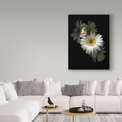 Large White Daisy Canvas Print with Black Background