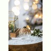 Dexmalle Set of 12 Glass Decorative Hanging Ball Christmas Tree Ornaments - 3 of 4