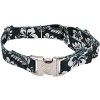 Country Brook Petz Martingale with Premium Buckle - Summer Breeze Collection - 3 of 4