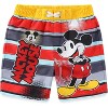 Disney Mickey Mouse Boys UPF 50+ Swim Trunks Bathing Suit for Toddler and Big Kids - Size 6 - 2 of 3