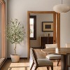 Faux Olive Tree, Fake Silk Plant for Living Room Decor, Indoor Fake Potted Tree with Green Leaves and Big Fruits - 4 of 4