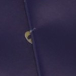 navy blue, gold tone