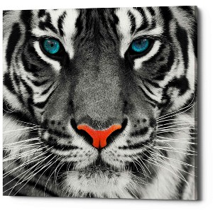 Epic Graffiti 'Thrill of the Tiger' Canvas Wall Art, 18
