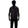 Pacsafe Venturesafe 25L G3 Backpack (Black) - 4 of 4
