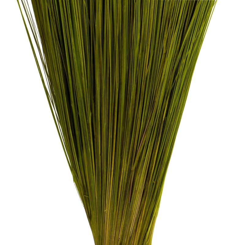 Vickerman Bright Grass, Dried, 4 of 6