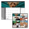 Pets Collection Monthly Desk Pad, Puppies Photography, 22 x 17, Black Binding, Clear Corners, 12-Month (Jan to Dec): 2025 - 2 of 4
