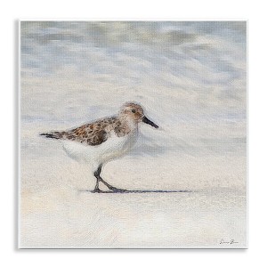 Stupell Industries Sandpiper Bird Stepping Beach Sand Wall Plaque Art - 1 of 4