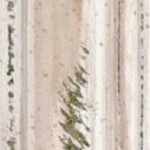 alexandria white wash