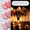 Runesay G40 Low Watt Light Bulb Edison LED Bulb 1W Equivalent to 10Watt Incandescent E26 Screw Base Led Bulbs, Non Dimmable (G40g-2pack) - 3 of 4
