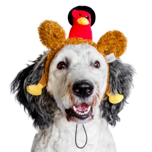 Thanksgiving dog outlet costume