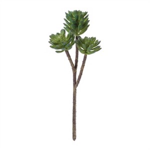 Succulent Plant Pick (Set of 6) - 1 of 3