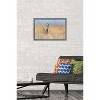 Trends International The Comedy Wildlife Photography Awards: Anup Deodhar - Rockstar Framed Wall Poster Prints - 2 of 4