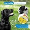 Toys 2PK Vibrant Dog Toy Balls Bouncy Tennis Balls Durable for Aggressive Chewers Fetch Game Balls for Large Medium Small Dogs - 3 of 4