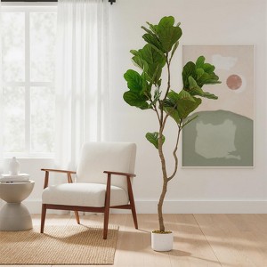 bougainvillea plant price Bougainvillea – Liberty Landscape Supply