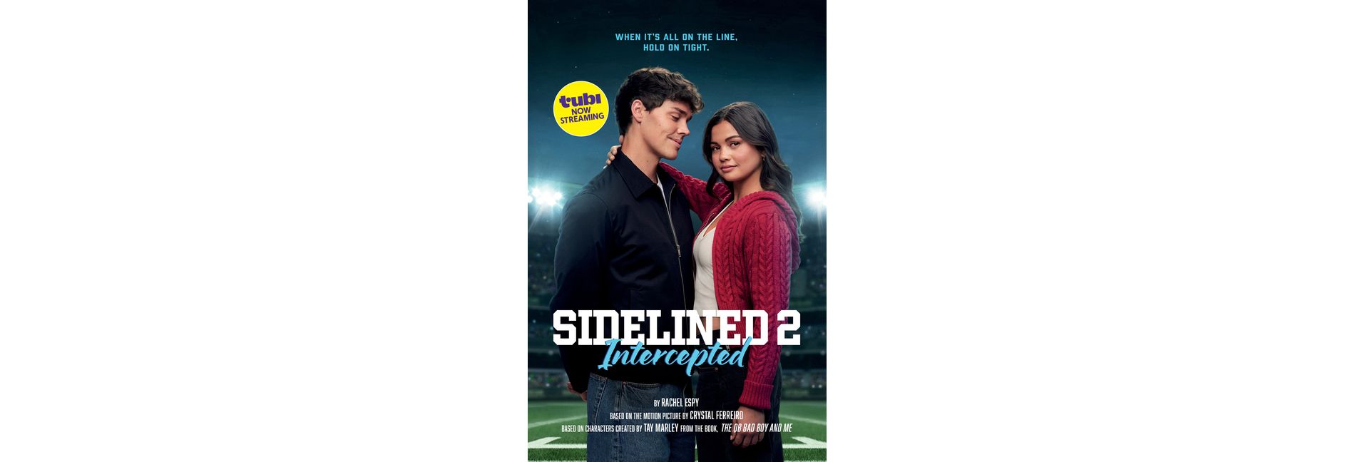 Sidelined 2: Intercepted - (Paperback)