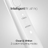 AquaSonic Icon Rechargeable Electric Toothbrush - ADA Accepted, Magnetic Holder, Slim Travel Case, 2 Brushing Modes, Timer - 3 of 4