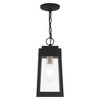 Livex Lighting Oslo 1 - Light Pendant in  Black - 3 of 4