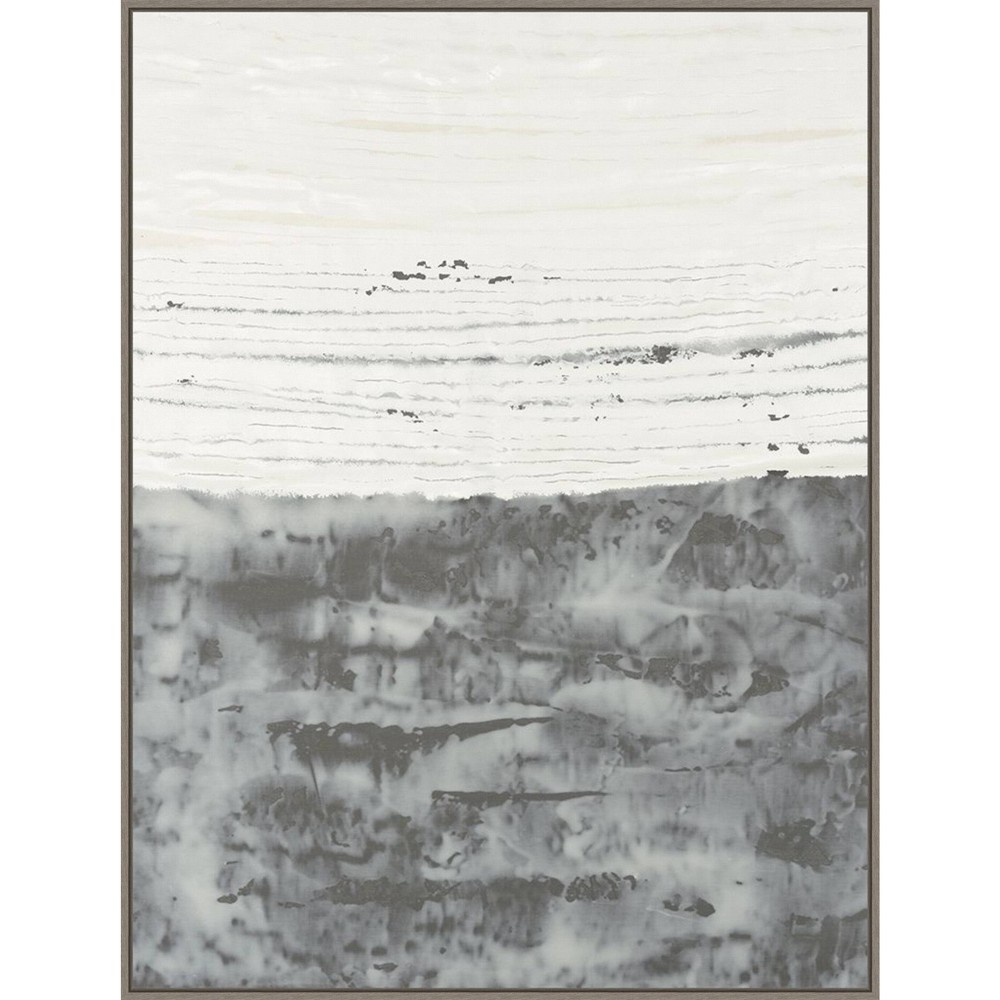 Photos - Other Decoration 32" x 42" Silicates II by Vanna Lam: Abstract Nature Painting, Gray Monochrome, Framed Canvas Wall Art, Modern Decor