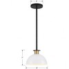 Crystorama Lighting Gigi 1 - Light Pendant in  Matte Black/Aged Brass - 3 of 3