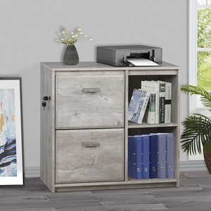 Saint Birch Elma File Cabinet, Washed Gray - 1 of 4