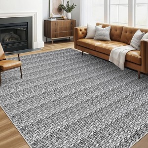 Modern Braided Printed Large Rug Washable Stain Resistant Indoor Carpet with Non-Slip Backing Soft Carpet Nursery Apartment - 1 of 4