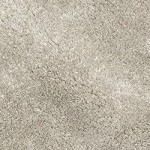 loni beige