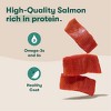 Jinx Salmon Flavor Pate Wet Dog Food - 13oz - 2 of 4