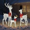 Karl Home 3PCS Reindeer Family Christmas Decoration with LED Lights - 3 of 4