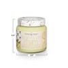Storied Home Tried & True Large Jar, Citrus Grove - 2 of 2