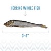Icelandic+ Herring Whole Fish Dog Treat 3-oz Bag - 3 of 4