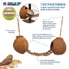 Prevue Pet Products Naturals Double Coconut Walk for Small Animals & Birds 62818,16X4X9 - 4 of 4