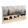 Stupell Industries Grazing Bison Foggy Countryside, 17" x 7" - 3 of 4