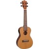 Mitchell MU50SE Acoustic-Electric Concert Ukulele Deluxe Package - 3 of 4