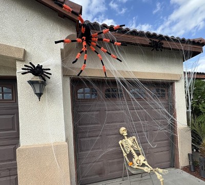 Guest review image 1 of 1, zoom in