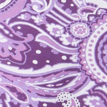 radiant purple paisley