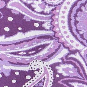 radiant purple paisley