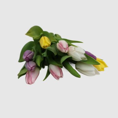 Fresh Cut 10 Stem Spring Rainbow Tulips - Good Little Garden™