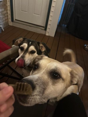 Guest review image 3 of 3, zoom in