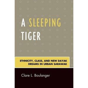 Sleeping Tiger - by  Clare L Boulanger (Paperback) - 1 of 1