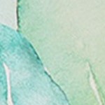 eucalyptus mist white, green