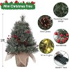 Acekool 24-Inch Snow-Touched Tabletop Tree: Ready-to-Glow Seasonal Display - 3 of 4