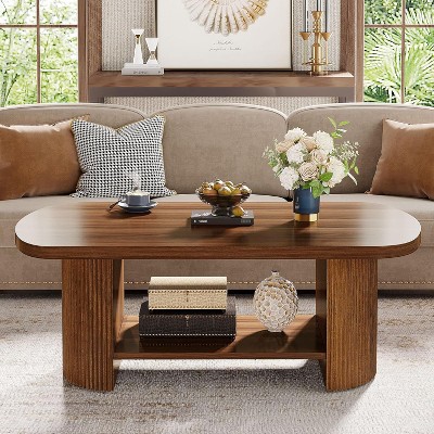 Hommoo Mid-Century 2-Tier Oval  Coffee Table with Storage Shelf