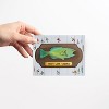 Birthday Assorted Greeting Card Pack (3ct) "Captain, Fish, Boat" by Ramus & Co - 3 of 4