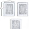 Plum & Post Fern Frond Prints, Set Of 3 - 2 of 4