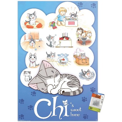 clear push pins bundle