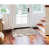 Liora Manne Capri Coastal Indoor/Outdoor Rug.. - 2 of 4