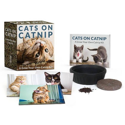 Catnip in litter box best sale