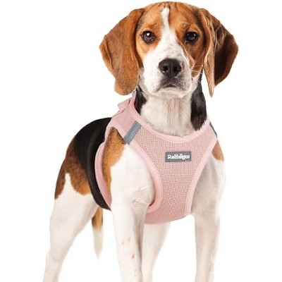 rabbitgoo Small Dog Harness, Step-in Soft Mesh Puppy Vest with Safety Buckle, Breathable Reflective Pet Harness for Small Medium Dogs, Pink XL
